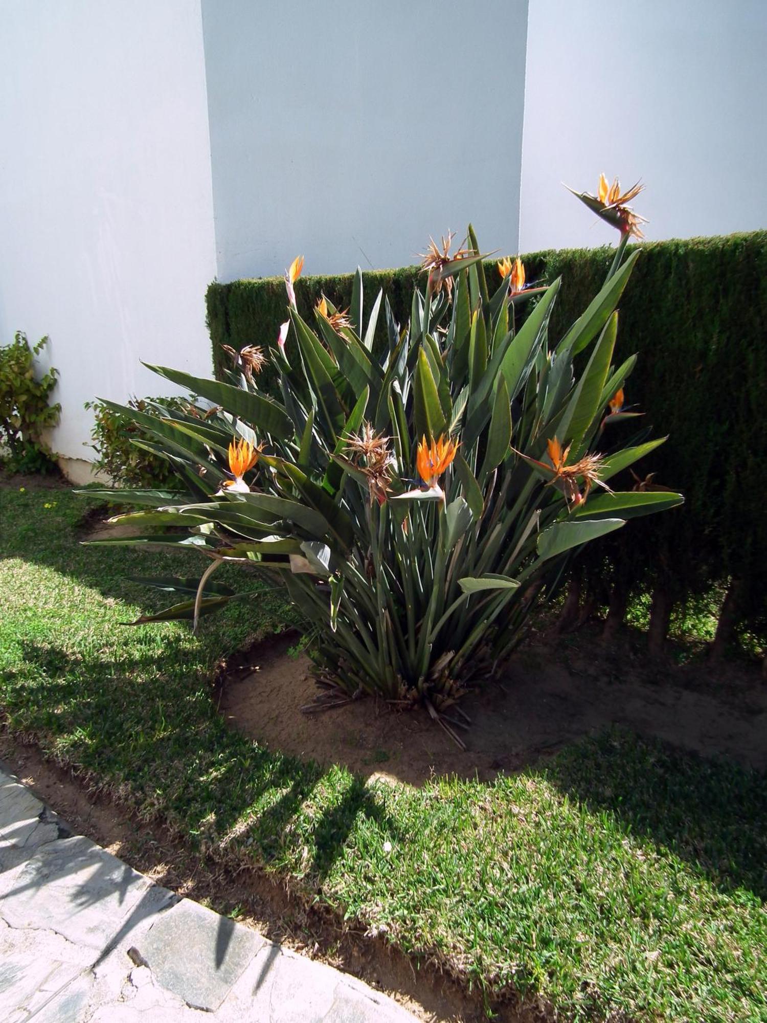 Apartamento Nerja Playa Burriana Екстериор снимка